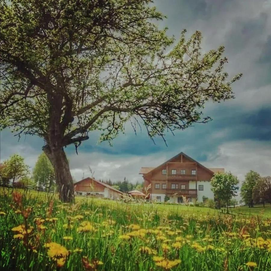 Apartamento Biobauernhof Brandlhof Ramsau am Dachstein Exterior foto