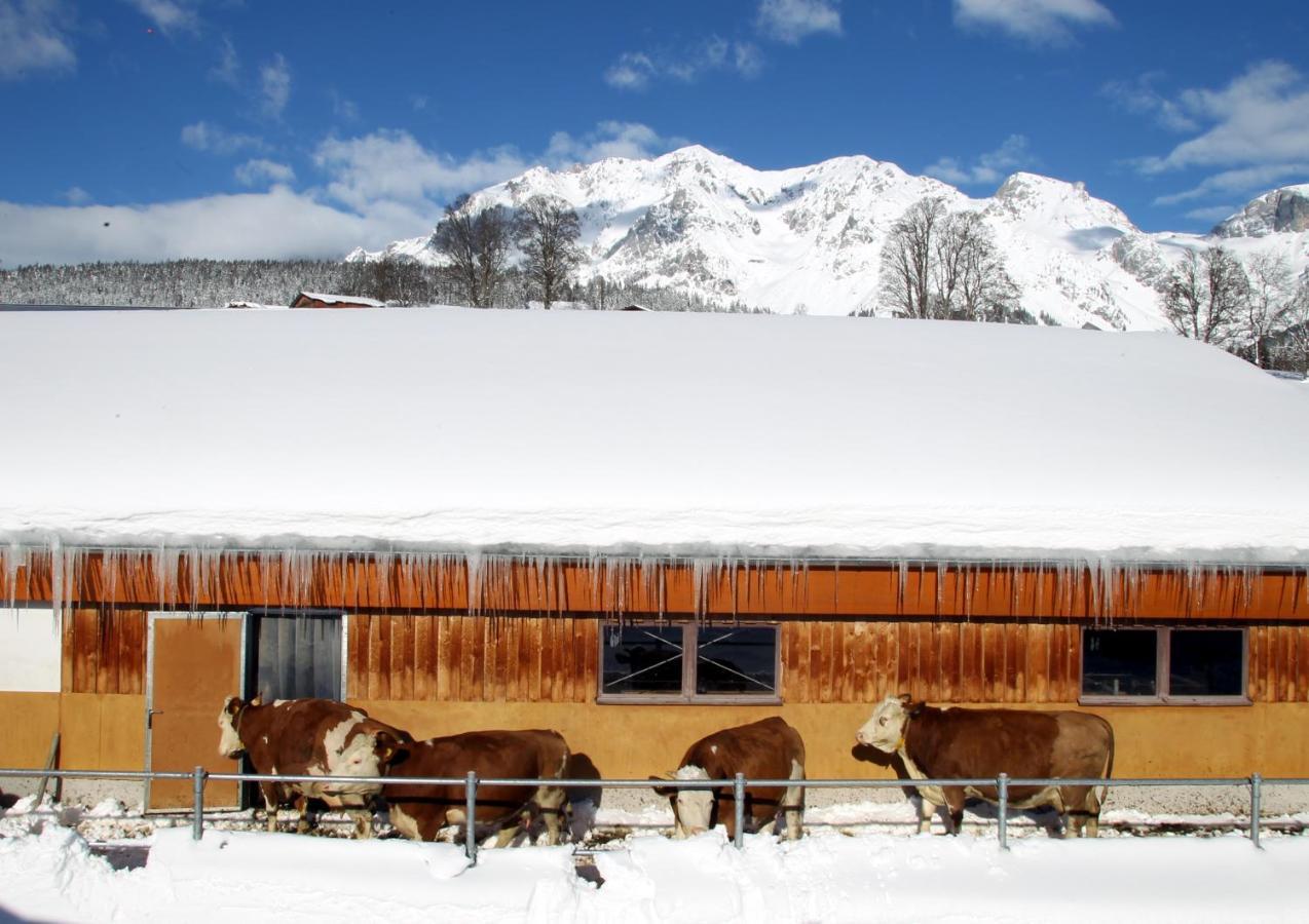 Apartamento Biobauernhof Brandlhof Ramsau am Dachstein Exterior foto