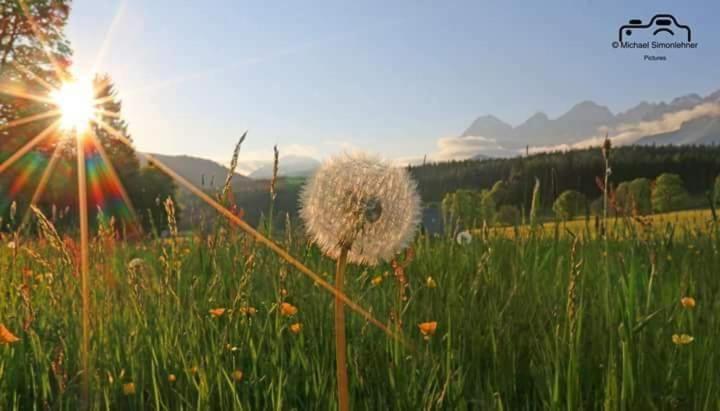 Apartamento Biobauernhof Brandlhof Ramsau am Dachstein Exterior foto