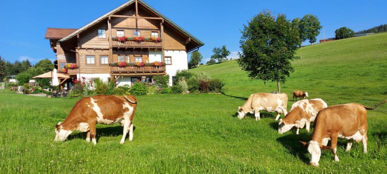 Apartamento Biobauernhof Brandlhof Ramsau am Dachstein Exterior foto