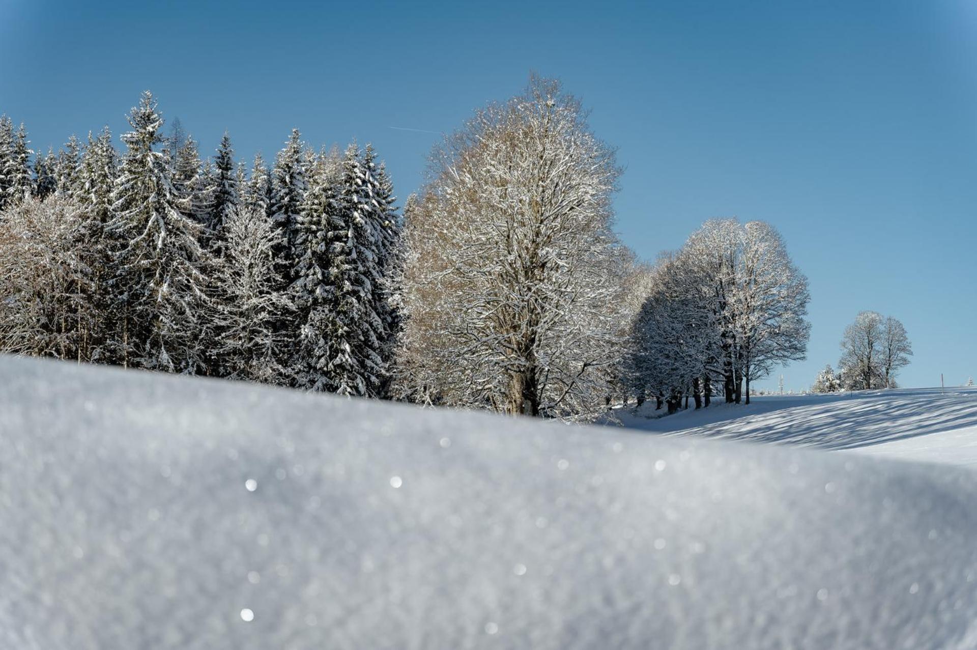 Apartamento Biobauernhof Brandlhof Ramsau am Dachstein Exterior foto